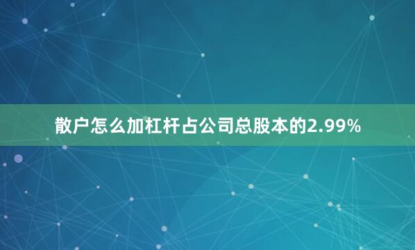 散户怎么加杠杆占公司总股本的2.99%